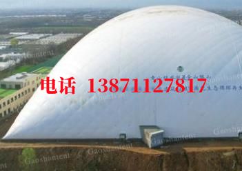 渔洋镇气膜棚卷帘门,电动门